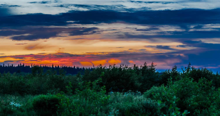 Hohes Venn Ansicht 4