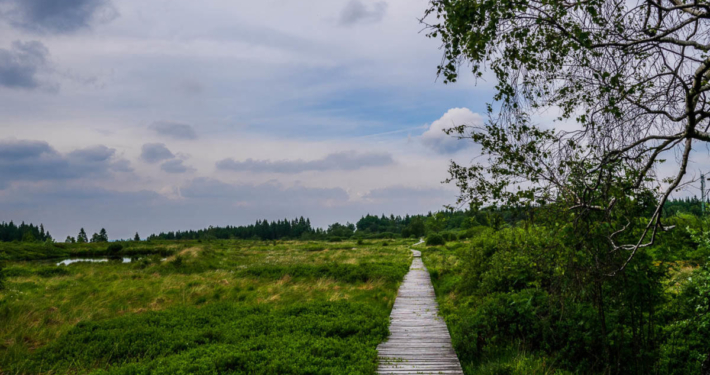 Hohes Venn Ansicht 7