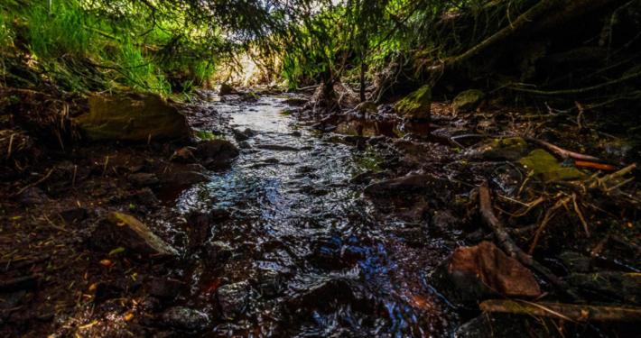 Hohes Venn Ansicht 6